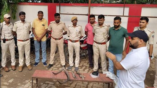 DFO Chanchal Prakasham and forest team with recovered horns. (Sourced photo)