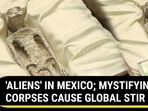 'ALIENS' IN MEXICO; MYSTIFYING CORPSES CAUSE GLOBAL STIR