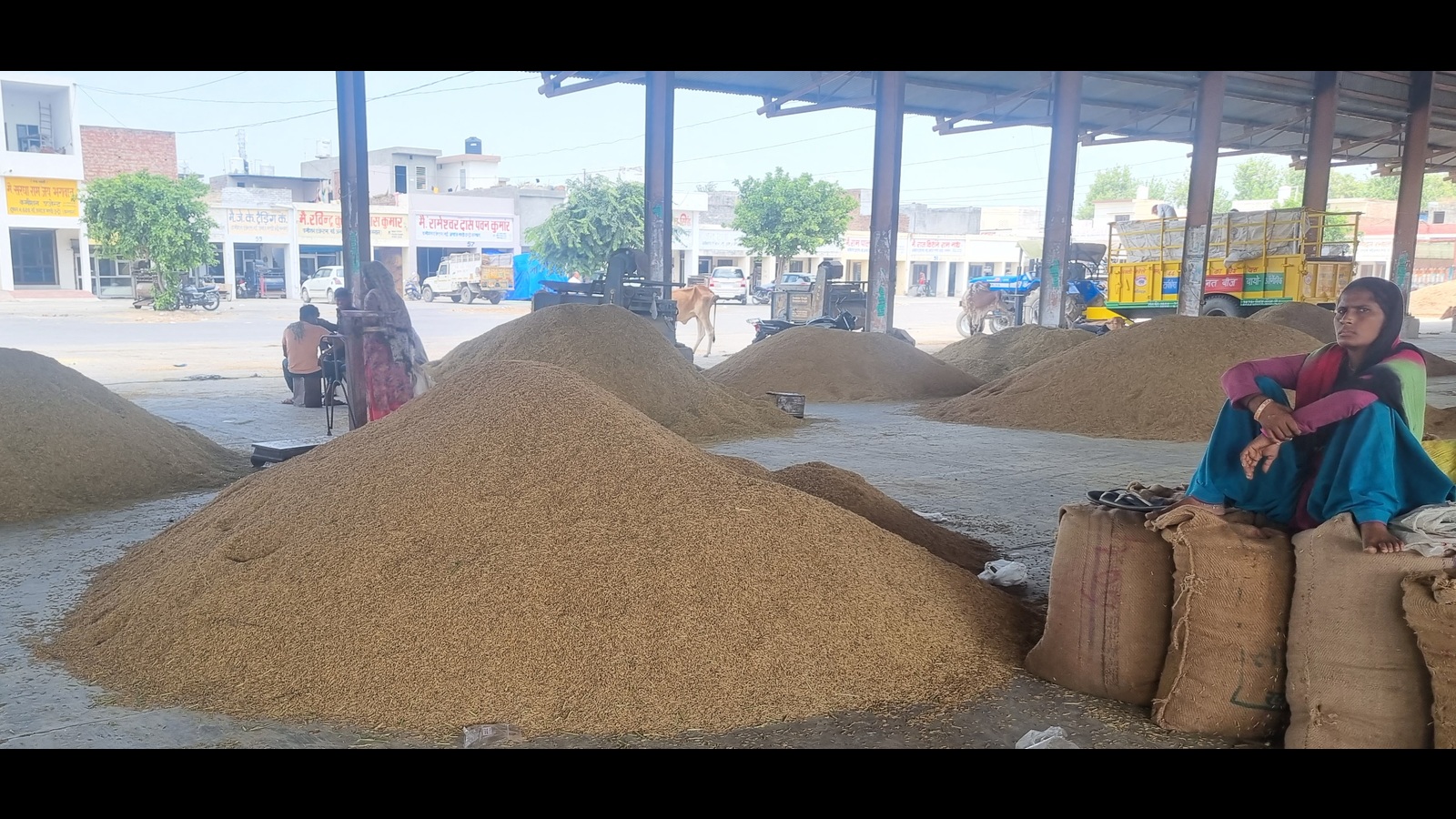 Farmers, traders worried as Centre's cap on basmati export leads to price fall - Vimarsana News