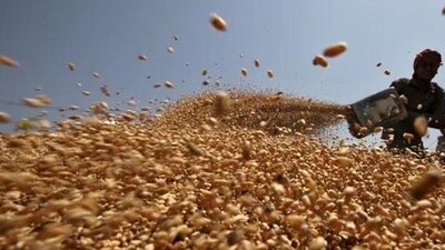 A number of anti-inflation measures over the past several hasn’t stamped out food inflation, especially in cereals. (Reuters file photo) (HT_PRINT) A number of anti-inflation measures over the past several hasn’t stamped out food inflation, especially in cereals. (Reuters file photo) (HT_PRINT)