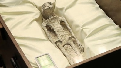One of the two ‘non-human alien corpses’ displayed at Mexico Congress (X(formerly Twitter)/@iohmbra) One of the two ‘non-human alien corpses’ displayed at Mexico Congress (X(formerly Twitter)/@iohmbra)