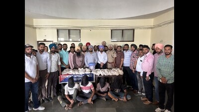 Intelligence-based operations conducted by the internal security wing of Punjab Police have led to a record seizure of drugs, around 200 kg of heroin, in different operations in the past 40 days Intelligence-based operations conducted by the internal security wing of Punjab Police have led to a record seizure of drugs, around 200 kg of heroin, in different operations in the past 40 days