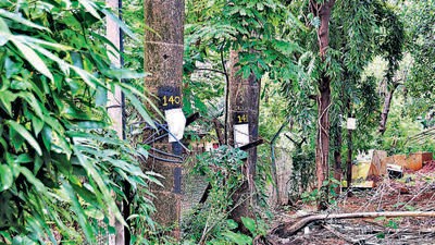Mumbai, India – Sept 10, 2023: Plot at Malbar Hill, next Hanging Garden, in Mumbai, India, on Sunday, Sept 10, 2023. (Photo by Bhushan Koyande/HT Photo) Mumbai, India – Sept 10, 2023: Plot at Malbar Hill, next Hanging Garden, in Mumbai, India, on Sunday, Sept 10, 2023. (Photo by Bhushan Koyande/HT Photo)