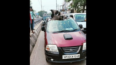 The exploded cylinder landed on the roof of a parked vehicle, damaging the car. (HT Photo) The exploded cylinder landed on the roof of a parked vehicle, damaging the car. (HT Photo)