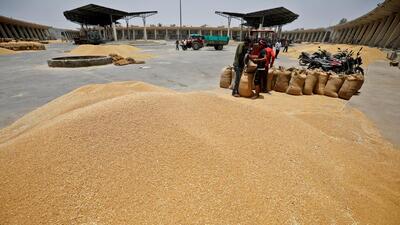 Workers fill sacks with wheat at the market yard of the Agriculture Product Marketing Committee on the outskirts of Ahmedabad (REUTERS FILE PHOTO) Workers fill sacks with wheat at the market yard of the Agriculture Product Marketing Committee on the outskirts of Ahmedabad (REUTERS FILE PHOTO)