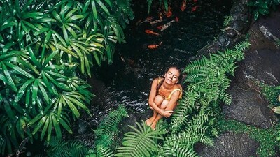 Forest Bathing is a Japanese concept that helps one connect with the nature and declutter the mind Forest Bathing is a Japanese concept that helps one connect with the nature and declutter the mind