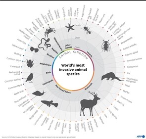 Over 37,000 alien species have been introduced in ecosystems around the world due to human activities. - (AFP) Over 37,000 alien species have been introduced in ecosystems around the world due to human activities. - (AFP)