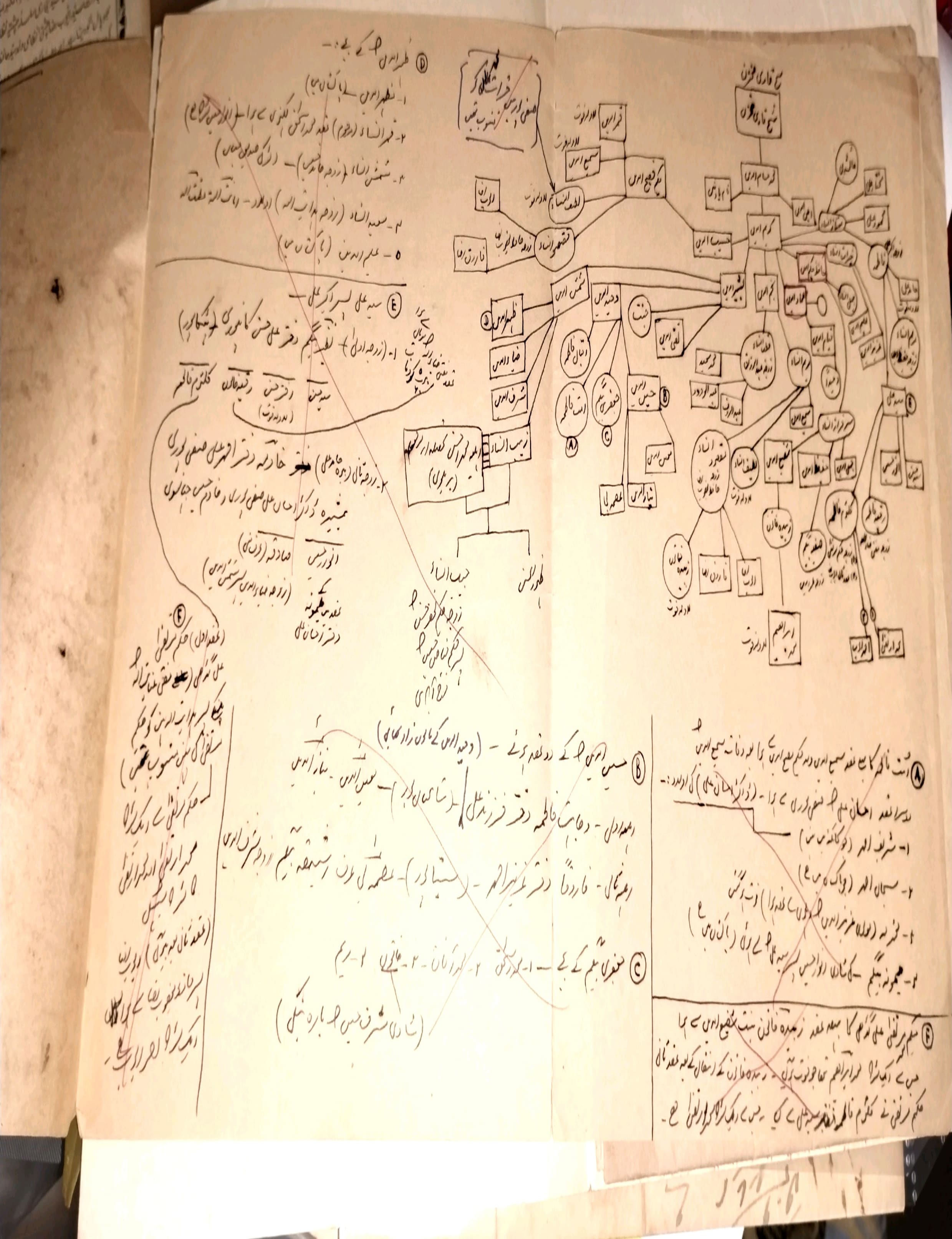 “The real discovery was the shajra – the family tree. However, there wasn’t just one. We found over a dozen, and we haven’t quite given up the search yet.” (Courtesy Lamat R Hasan) “The real discovery was the shajra – the family tree. However, there wasn’t just one. We found over a dozen, and we haven’t quite given up the search yet.” (Courtesy Lamat R Hasan)