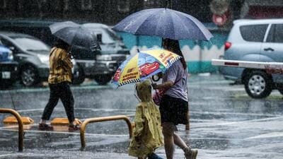 August, with a 36% rainfall deficiency (for the month) was the driest and warmest in India since records started being kept in 1901, but thanks to the second week, September has been better -- and IMD suggests that is likely to continue for at least a week. (AFP) August, with a 36% rainfall deficiency (for the month) was the driest and warmest in India since records started being kept in 1901, but thanks to the second week, September has been better -- and IMD suggests that is likely to continue for at least a week. (AFP)