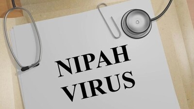 Nipah is a bat-borne, zoonotic virus with a high mortality rate. (File photo) Nipah is a bat-borne, zoonotic virus with a high mortality rate. (File photo)
