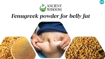 Fenugreek or methi is a fragrant and flavourful herb which is seen in Indian kitchens frequently and is used extensively for culinary and medicinal purposes. Fenugreek or methi is a fragrant and flavourful herb which is seen in Indian kitchens frequently and is used extensively for culinary and medicinal purposes.