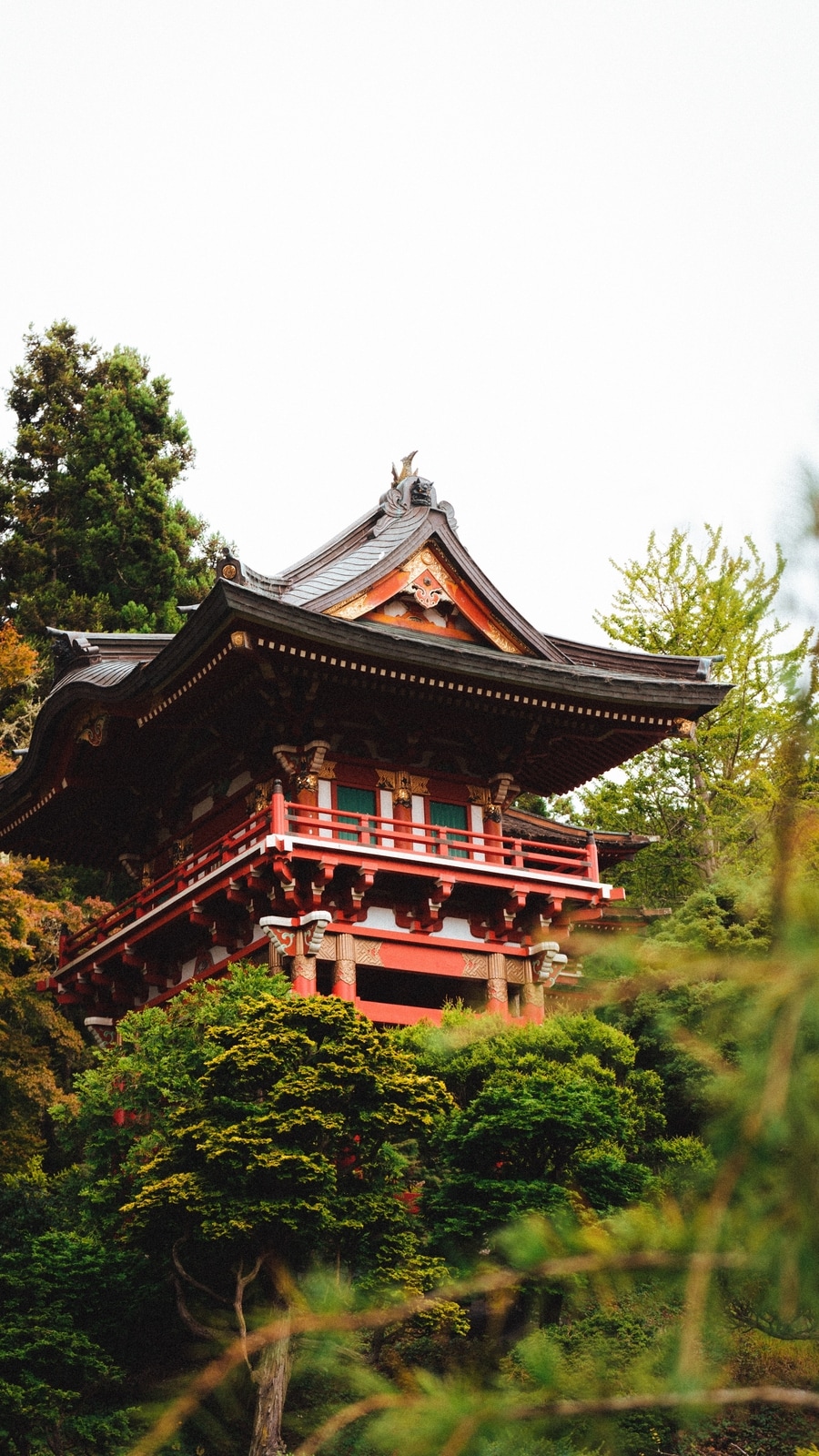 5_tips_to_keep_in_mind_while_travelling_to_Japan