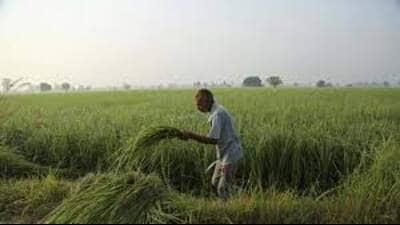 In five districts, the survey work has achieved 100% completion (Pic for representation)