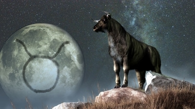 Weekly Horoscope Taurus, September 17-23, 2023: Walk into a new relationship this week. Professional success will be there in the life. (shutterstock)
