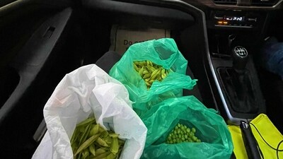 Bengaluru woman peels vegetables while stuck in traffic, internet responds.