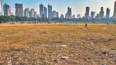 Mumbai, India - November 03, 2022: BMC which had planted 1 lakh square metres of greenery on the popular Shivaji Park ground, after complaints from residents of neighbouring housing societies to combat dust pollution in February 2022, has once again turned dusty as the green lawn has not lasted even 10 months, in Mumbai, India, on Thursday, November 03, 2022. (Photo by Satish Bate/Hindustan Times) (Satish Bate/HT PHOTO) Mumbai, India - November 03, 2022: BMC which had planted 1 lakh square metres of greenery on the popular Shivaji Park ground, after complaints from residents of neighbouring housing societies to combat dust pollution in February 2022, has once again turned dusty as the green lawn has not lasted even 10 months, in Mumbai, India, on Thursday, November 03, 2022. (Photo by Satish Bate/Hindustan Times) (Satish Bate/HT PHOTO)
