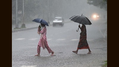 Pedestrians caught in the showers on the Sector 33/45 dividing road in Chandigarh on Sunday. (Keshav Singh/HT) Pedestrians caught in the showers on the Sector 33/45 dividing road in Chandigarh on Sunday. (Keshav Singh/HT)