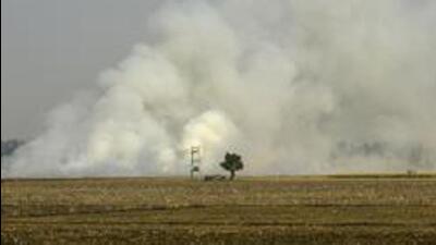 Punjab is seeing a high demand for machines to manage farm residue which cause severe air pollution in northern India. (HT Archive)