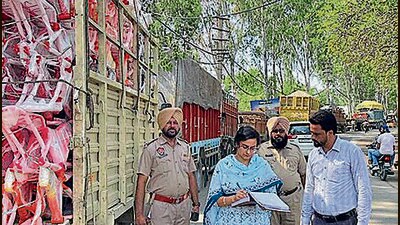 RTA Poonam Preet Kaur issuing a challan during a surprise check in Ludhiana on Sunday. (HT Photo)