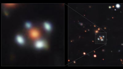 Image of galaxies resembling flowers with four petals. (ESO/A. Cikota et al.) Image of galaxies resembling flowers with four petals. (ESO/A. Cikota et al.)
