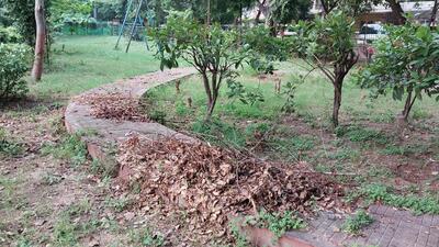 The MCD park at Pocket B , Mayur Vihar Phase-2, in New Delhi. (Sanjeev Verma/HT Photo)