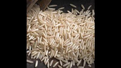 The Punjab government has undertaken a pilot project under which residue-free basmati with minimal or no usage of chemicals has been cultivated in Chogawan block of Amritsar district. (Getty Images/ Representational image)