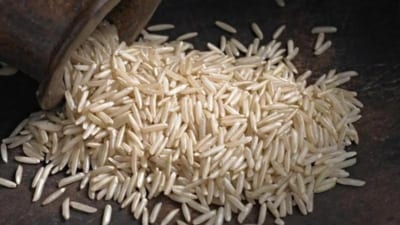 The rain has also affected crop harvesting in the northern districts of Karnal, Kurukshetra, Ambala, Yamunanagar and Kaithal. (HT Photo)
