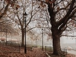 autumn