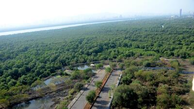 Navi Mumbai, India - March 28, 2023:Konkan Divisional Commissioner Mahendra Kalyankar told agencies to take urgent steps to protect mangroves at Ghansholi in Navi Mumbai, India, on Tuesday, March 28, 2023. (Photo by Bachchan Kumar/ HT PHOTO) (HT PHOTO) Navi Mumbai, India - March 28, 2023:Konkan Divisional Commissioner Mahendra Kalyankar told agencies to take urgent steps to protect mangroves at Ghansholi in Navi Mumbai, India, on Tuesday, March 28, 2023. (Photo by Bachchan Kumar/ HT PHOTO) (HT PHOTO)