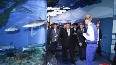 Earlier on Sunday, Kim Jong Un watched a performing walrus at the Primorsky Aquarium, Russia's largest, accompanied by his officials. (AFP) Earlier on Sunday, Kim Jong Un watched a performing walrus at the Primorsky Aquarium, Russia's largest, accompanied by his officials. (AFP)