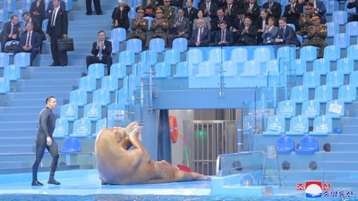 Earlier on Sunday, Kim Jong Un watched a performing walrus at the Primorsky Aquarium, Russia's largest, accompanied by his officials. (AFP) Earlier on Sunday, Kim Jong Un watched a performing walrus at the Primorsky Aquarium, Russia's largest, accompanied by his officials. (AFP)