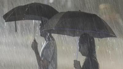 The Meteorological Department on Monday again issued orange and yellow alerts warnings of moderate to heavy rainfall in 16 districts across the state in the next 24 hours. (Representative Image) The Meteorological Department on Monday again issued orange and yellow alerts warnings of moderate to heavy rainfall in 16 districts across the state in the next 24 hours. (Representative Image)