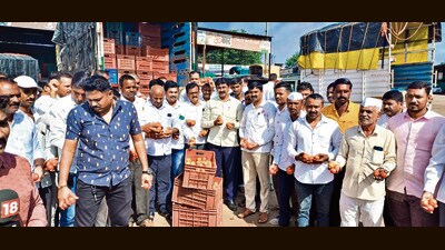 The sudden drop in tomato prices within a month, from ₹200 per kg in August to ₹2 in September, recently drove farmers from Marathwada and north Maharashtra to destroy their produce. (HT PHOTO) The sudden drop in tomato prices within a month, from ₹200 per kg in August to ₹2 in September, recently drove farmers from Marathwada and north Maharashtra to destroy their produce. (HT PHOTO)