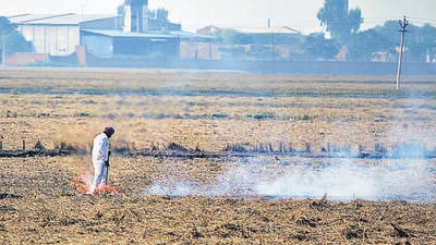 VK Sehgal, professor and principal scientist at IARI, who is a part of CREAMS, said a clear trend will begin to emerge from October, when the monsoon has withdrawn and harvesting will generally begin. (HT Archive) VK Sehgal, professor and principal scientist at IARI, who is a part of CREAMS, said a clear trend will begin to emerge from October, when the monsoon has withdrawn and harvesting will generally begin. (HT Archive)