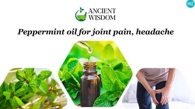 Peppermint: The magical herb was used in ancient Greece, Rome, and Egypt for treating digestive disorders and other health conditions. Peppermint: The magical herb was used in ancient Greece, Rome, and Egypt for treating digestive disorders and other health conditions.