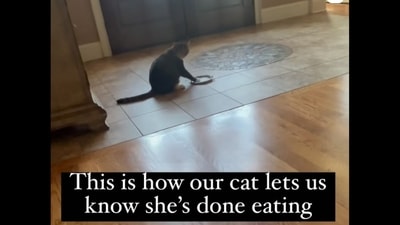 The viral video has over 2.4 million views and a flurry of reactions from people. (Instagram/@wbp3) The viral video has over 2.4 million views and a flurry of reactions from people. (Instagram/@wbp3)