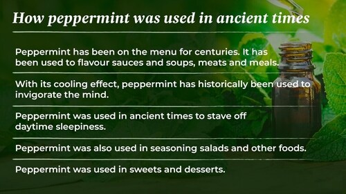 Peppermint has been on the menu for centuries. It has been used to flavour sauces and soups, meats and meals. Peppermint has been on the menu for centuries. It has been used to flavour sauces and soups, meats and meals.