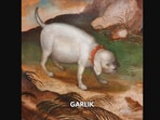 The image shows an illustration of a dog from the 15th century along with its name. The image shows an illustration of a dog from the 15th century along with its name.