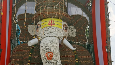 A 42-feet tall idol of Lord Ganesha made up of 1250 kilograms of Vetti Veru is placed on a pandal on the eve of the celebrations of the Ganesh Chaturthi festival in Chennai. (ANI) A 42-feet tall idol of Lord Ganesha made up of 1250 kilograms of Vetti Veru is placed on a pandal on the eve of the celebrations of the Ganesh Chaturthi festival in Chennai. (ANI)