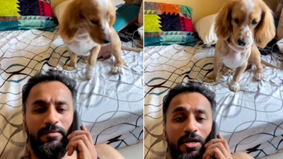 The image shows the dog named Teddy listening to his pet dad’s conversation over a call. (Instagram/@teddy_tedcocker) The image shows the dog named Teddy listening to his pet dad’s conversation over a call. (Instagram/@teddy_tedcocker)