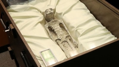One of the two ‘non-human alien corpses’ displayed at Mexico Congress (X(formerly Twitter)/@iohmbra) One of the two ‘non-human alien corpses’ displayed at Mexico Congress (X(formerly Twitter)/@iohmbra)