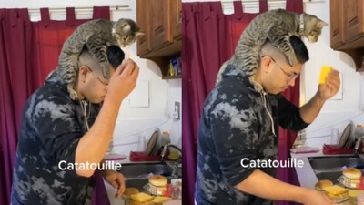 Cat cooking with a man. (Instagram) Cat cooking with a man. (Instagram)