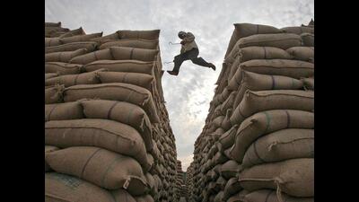 The Centre requested the state government and the Food Corporation of India (FCI) to take necessary steps to check any recycling of rice. (HT File)