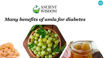 Amla is considered as a Rasayana according to Ayurveda due to its extraordinary levels of Vitamin C and high antioxidant activity. Amla is considered as a Rasayana according to Ayurveda due to its extraordinary levels of Vitamin C and high antioxidant activity.