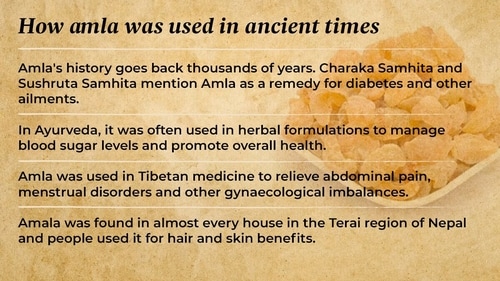 Amla was extensively used in Tibetan medicine as relieve abdominal pain, menstrual disorders and other gynaecological imbalances. Amla was extensively used in Tibetan medicine as relieve abdominal pain, menstrual disorders and other gynaecological imbalances.