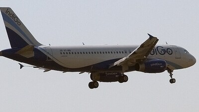 Indian domestic airlines experience soaring passenger growth in 2023 (MINT_PRINT) Indian domestic airlines experience soaring passenger growth in 2023 (MINT_PRINT)