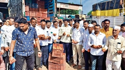 The sudden drop in tomato prices within a month, from ₹200 per kg in August to ₹2 in September, recently drove farmers from Marathwada and north Maharashtra to destroy their produce. (HT PHOTO) The sudden drop in tomato prices within a month, from ₹200 per kg in August to ₹2 in September, recently drove farmers from Marathwada and north Maharashtra to destroy their produce. (HT PHOTO)