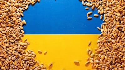Poland announced restrictions on Ukrainian grain imports on Friday (File)