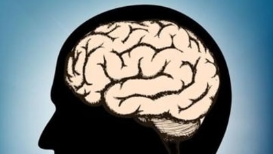 Association between traumatic brain injury and cardiovascular disease: Study (Shutterstock) Association between traumatic brain injury and cardiovascular disease: Study (Shutterstock)