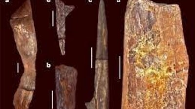 The findings have “no known parallels” wrote the scientists in the article. The findings have “no known parallels” wrote the scientists in the article.